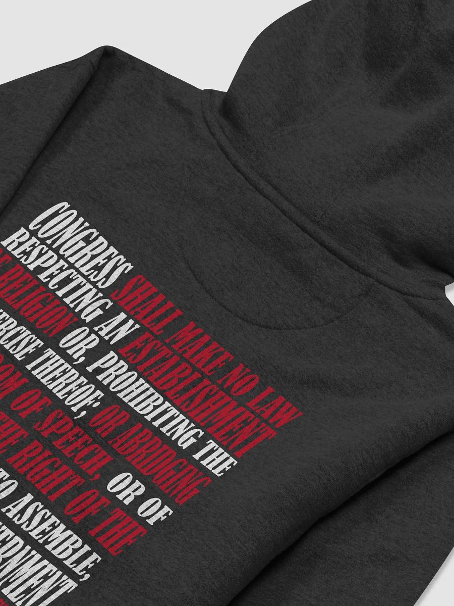 First Amendment Hoodie product image (7)