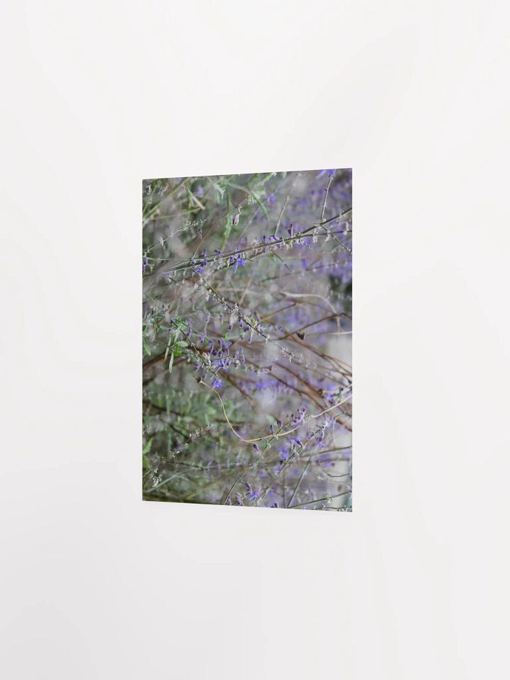 A Study in Flowers 14 product image (21)
