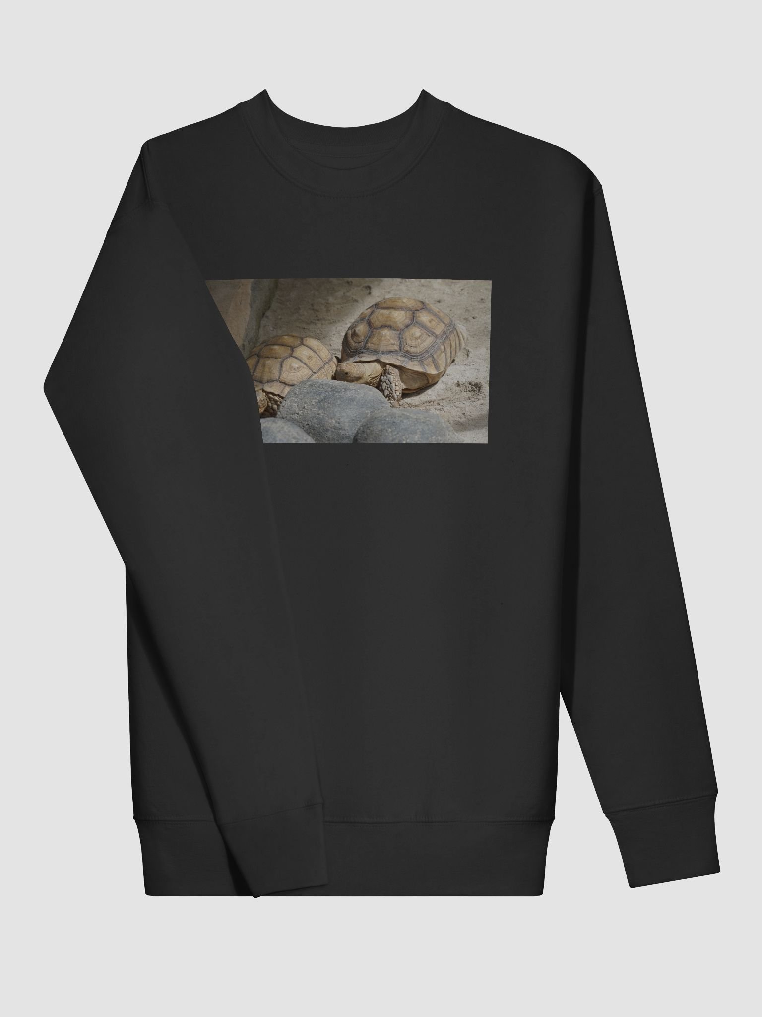 Hexagonal Tortoise Oasis Sweatshirt product image (3)