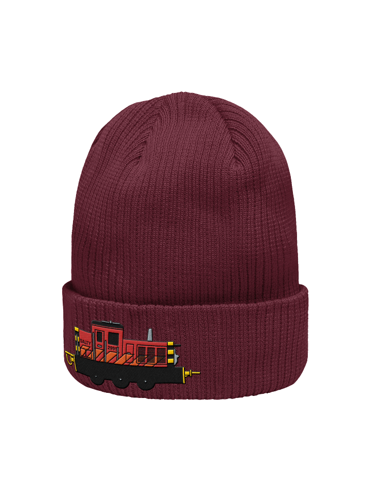 Salty Embroidered Beanie product image (2)
