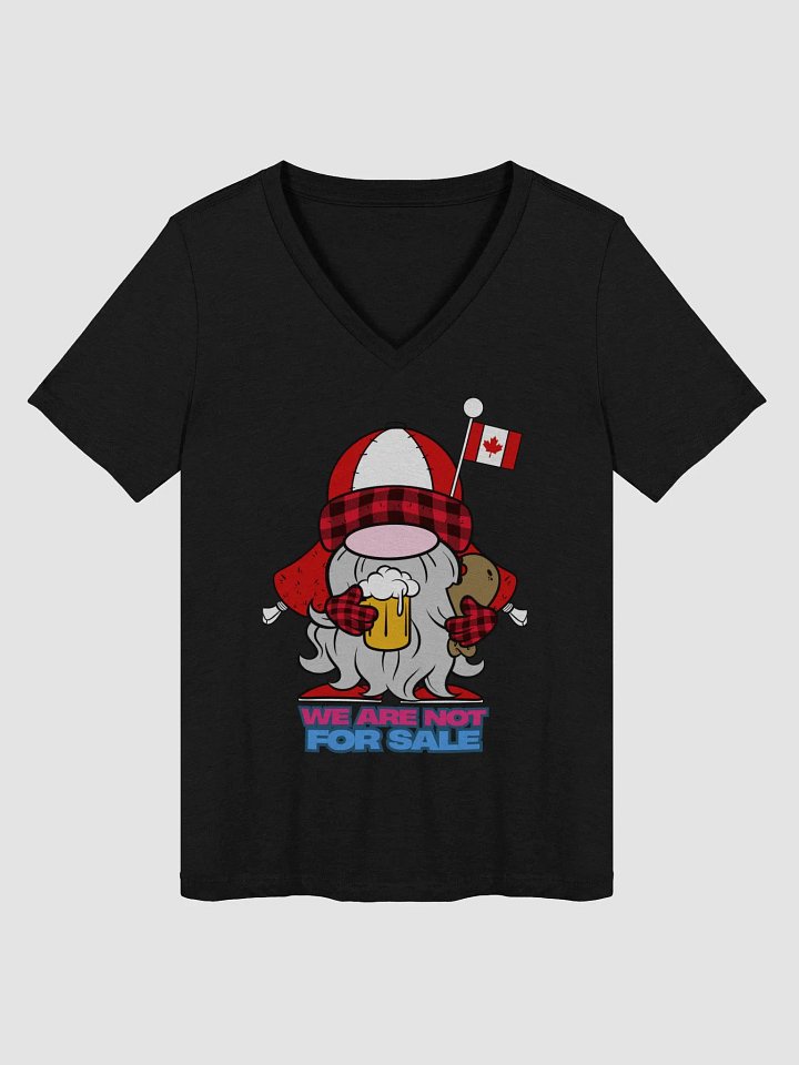 Canadian Cozy V-Neck Tee product image (14)