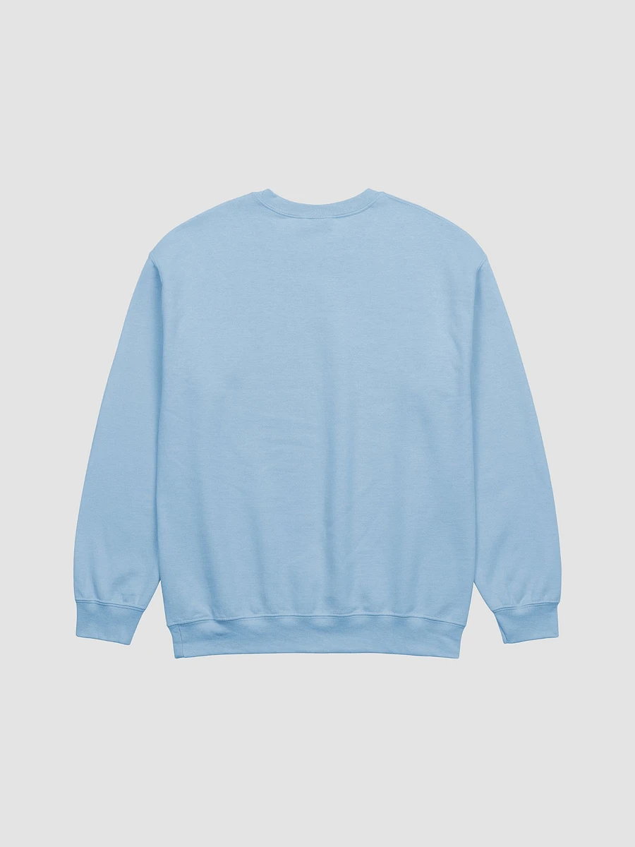 SALE - JLD Est. 2021 Sweatshirt product image (3)