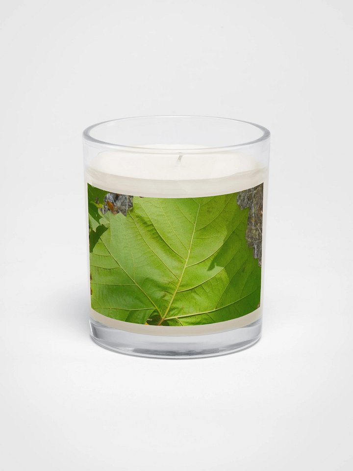 Veins of Nature Soy Candle product image (1)