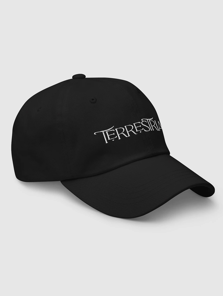 Terrestrial Logo Hat product image (11)