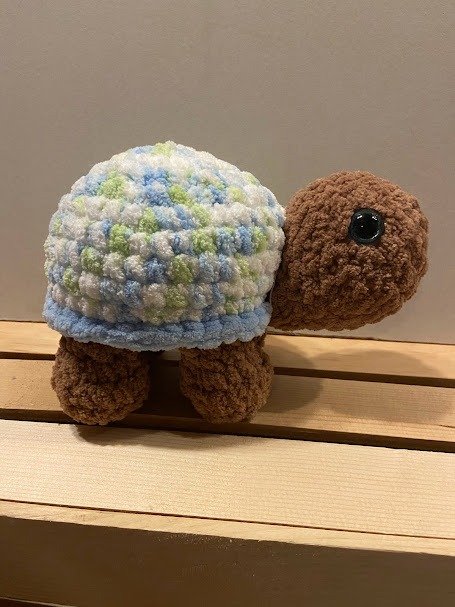 Box Turtle product image (5)