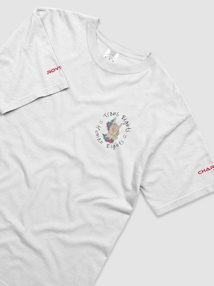 Trans Rights T-Shirt product image (21)
