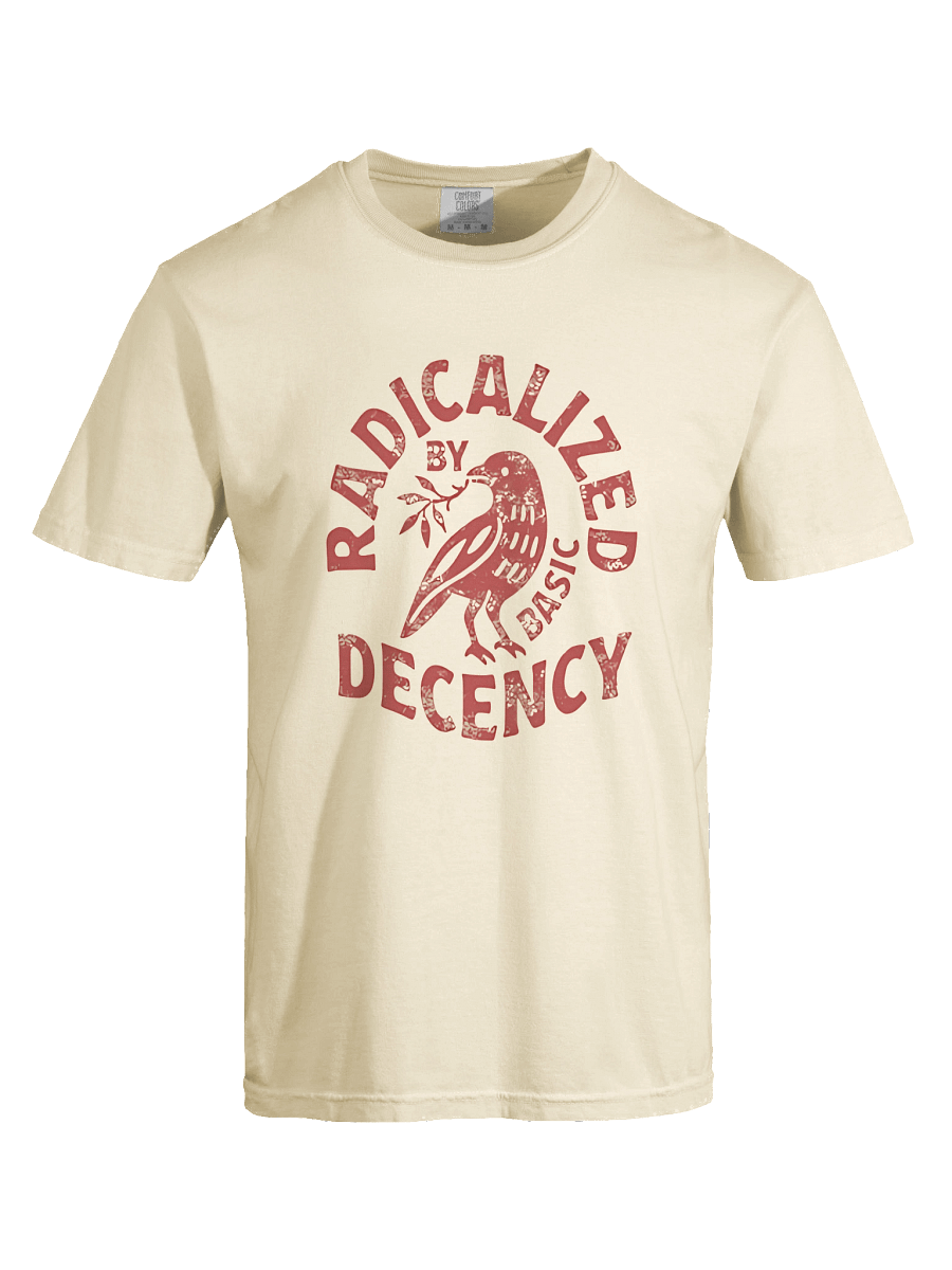 Radicalized by Basic Decency Shirt Radicalized by Basic Decency V-Neck T-Shirt product image (4)