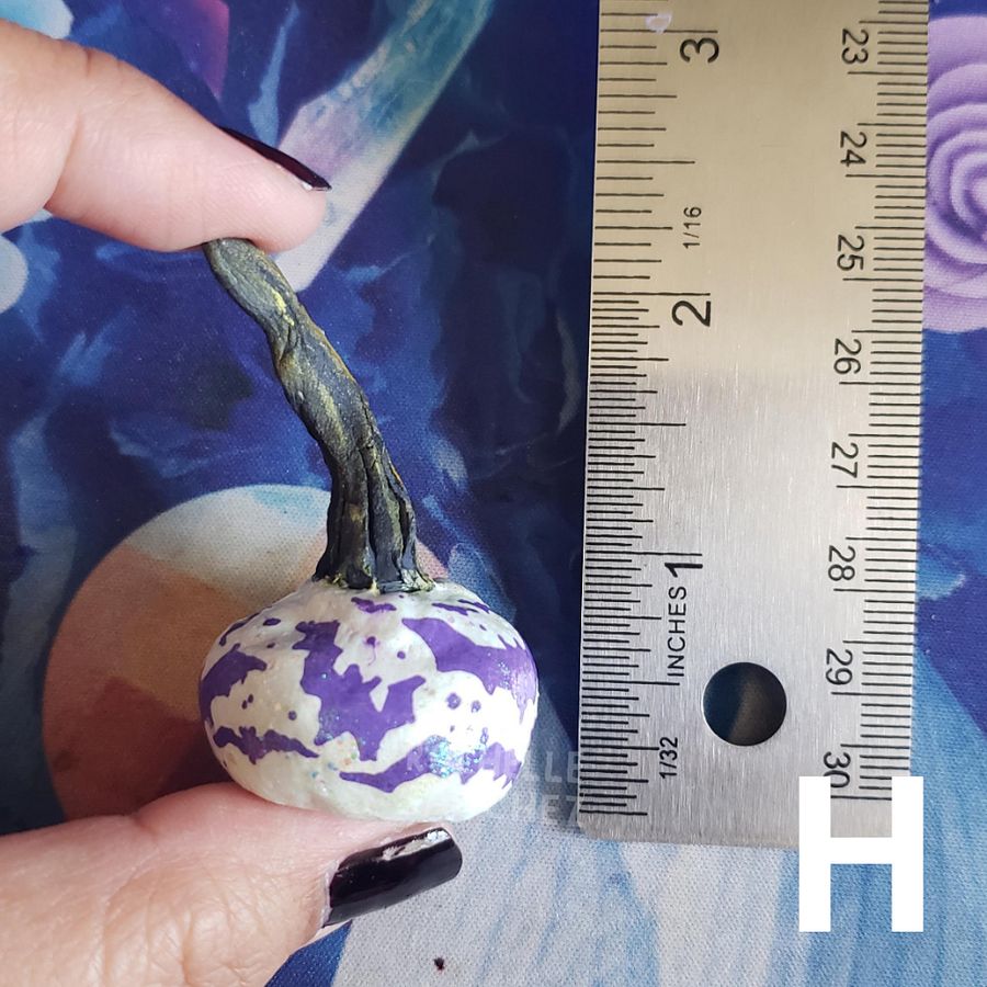 Witchy Bat Pumpkin product image (4)