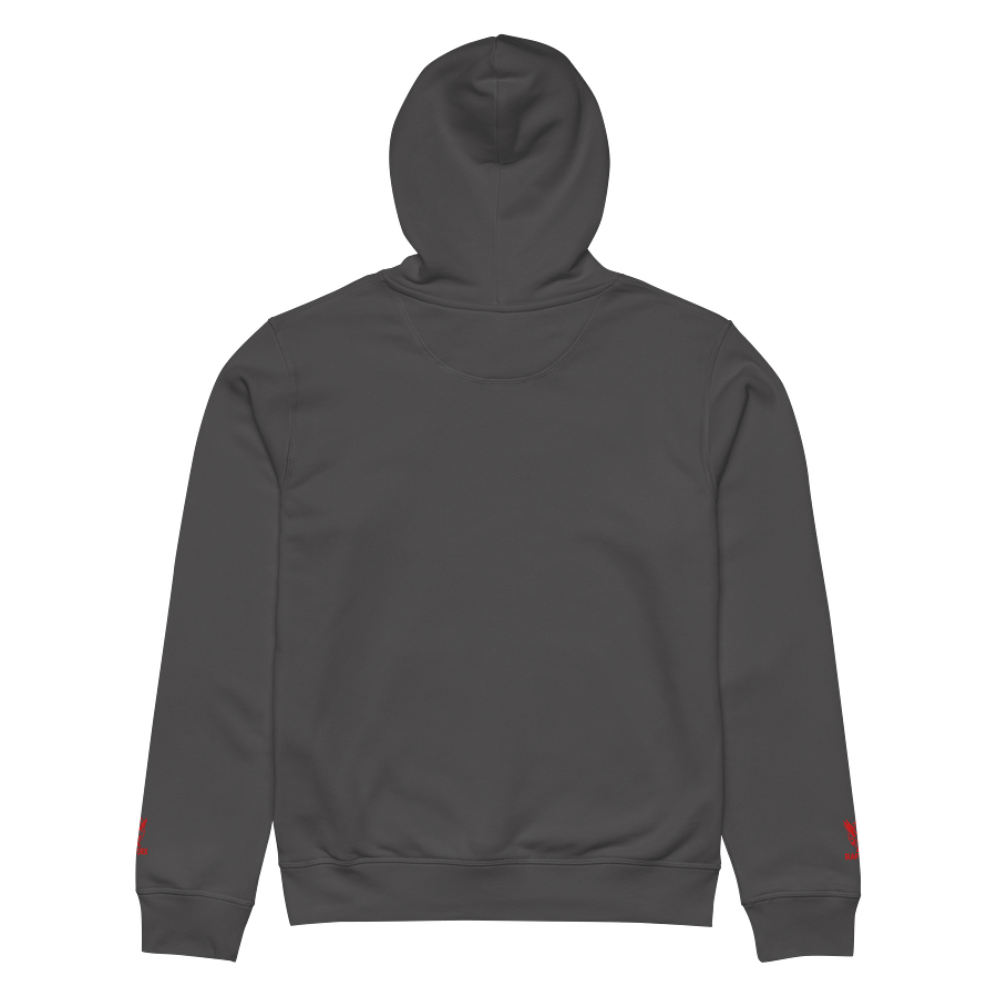 Raptor X Eagle Logo Organic Hoodie product image (26)