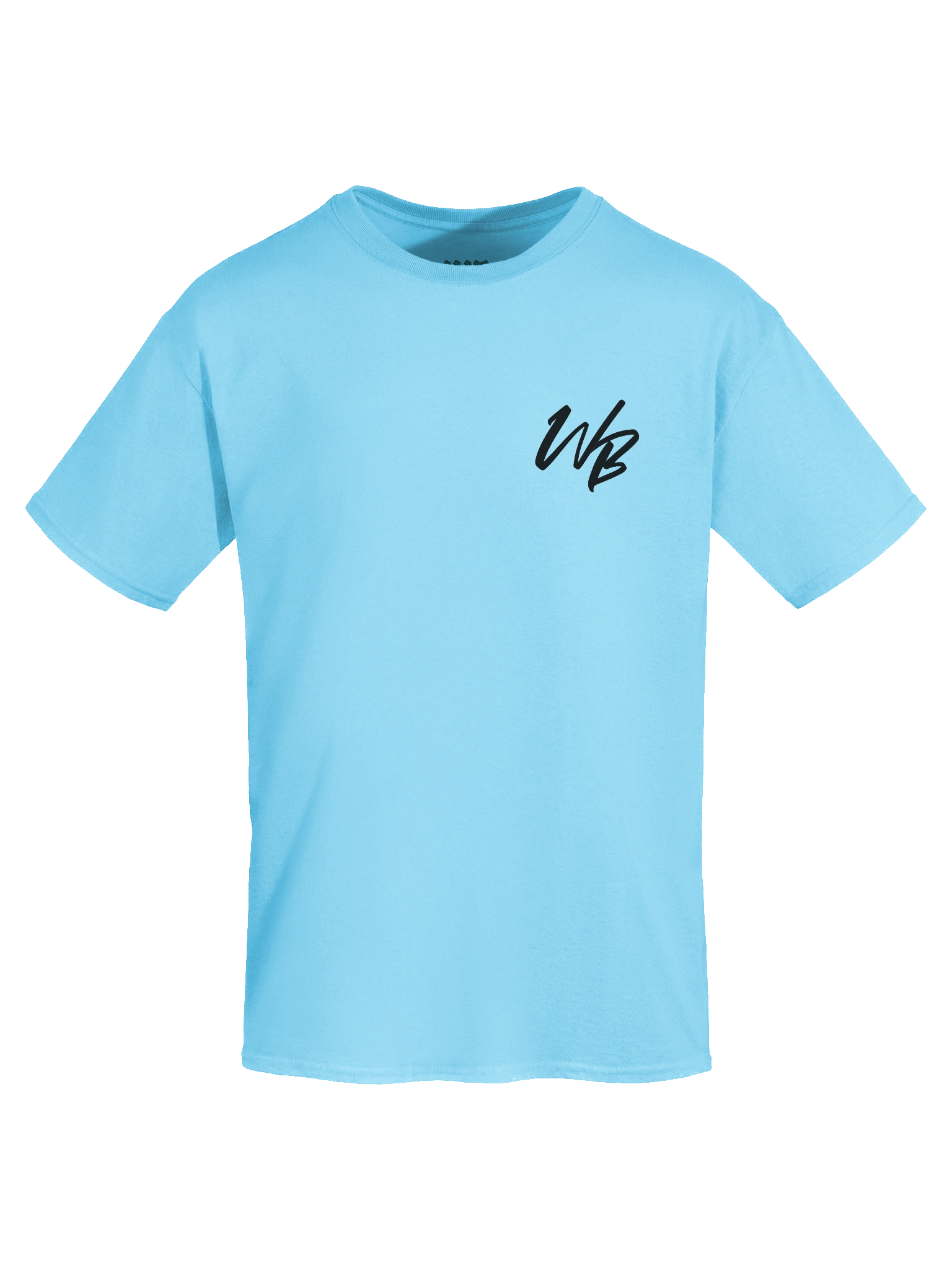 Signature T-Shirt product image (7)