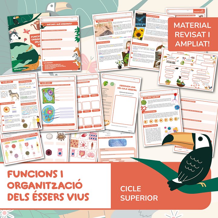 Funcions i organització dels éssers vius product image (1)