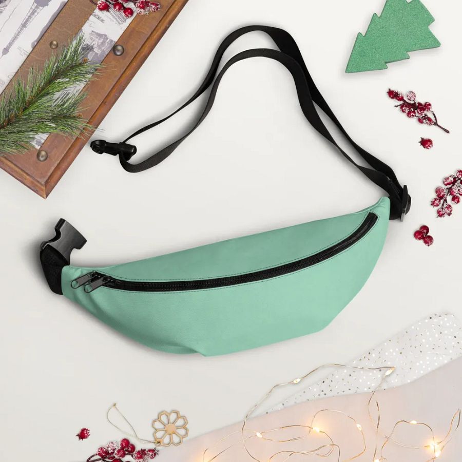 Vista Blue Fanny Pack product image (12)