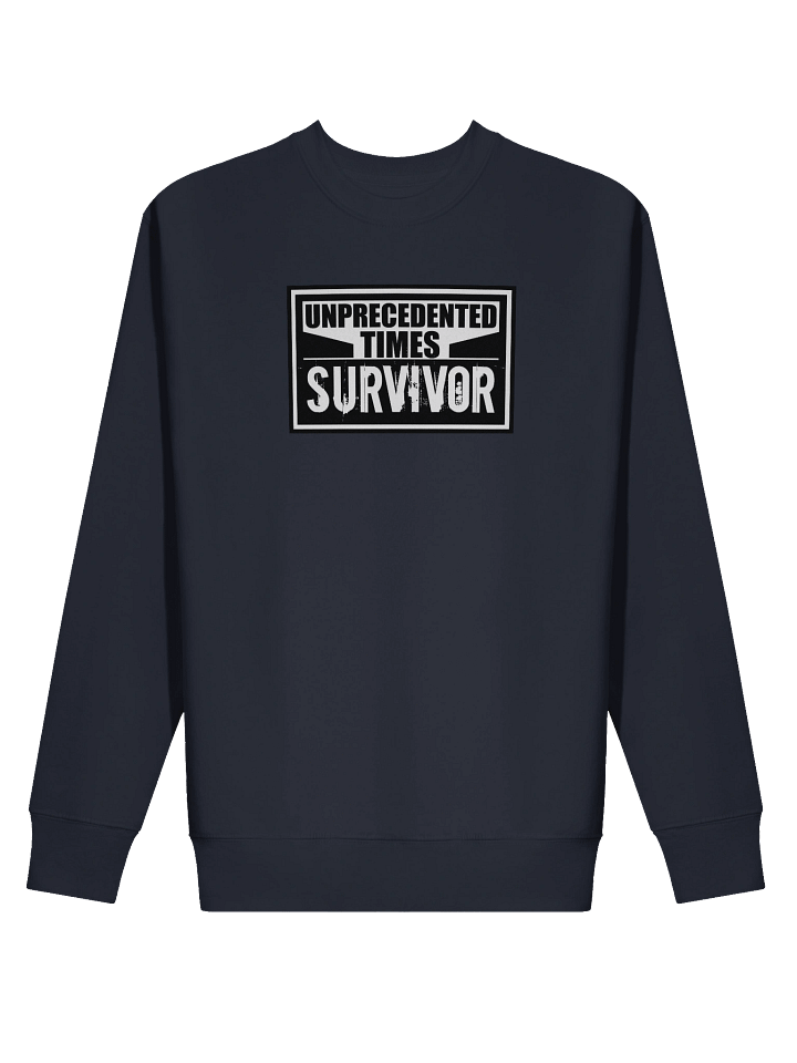 Unprecedented Times - Pullover product image (9)