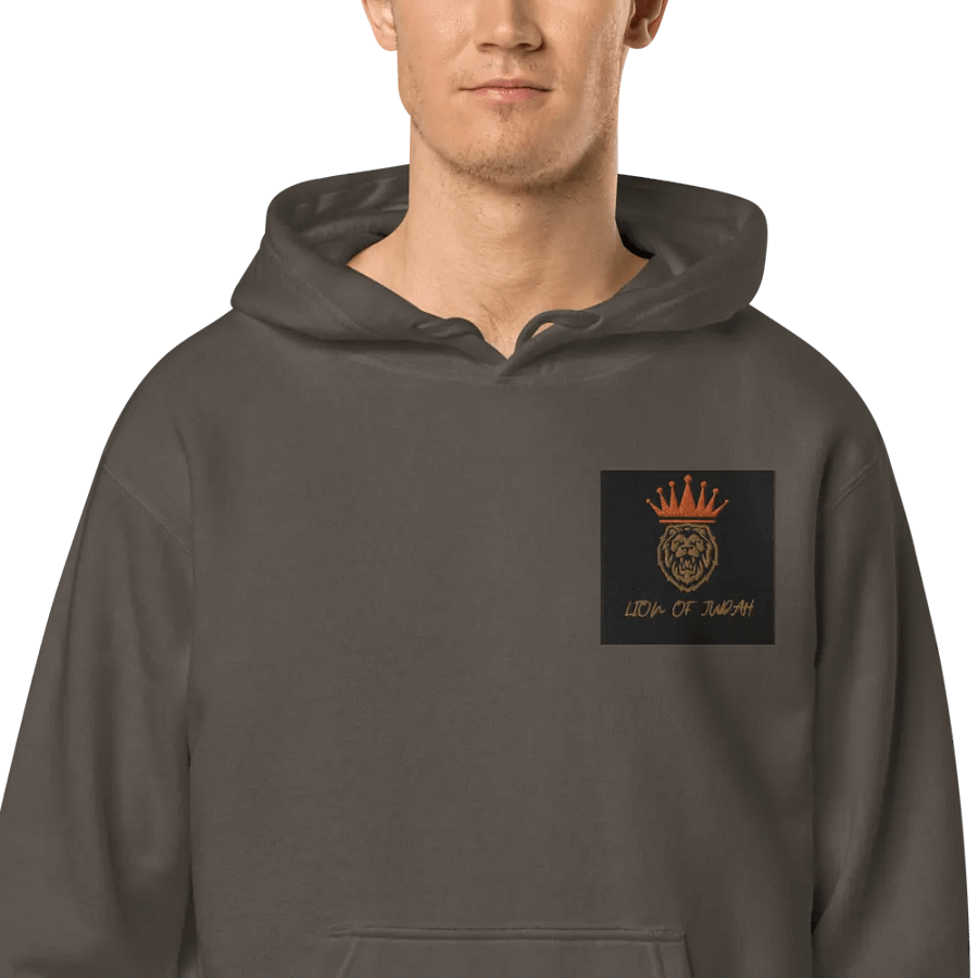 Crowned Lion of Judah Hoodie product image (4)