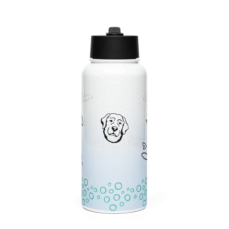 Lingling Kwong Stainless Steel Water Bottle With a Straw Lid product image (1)