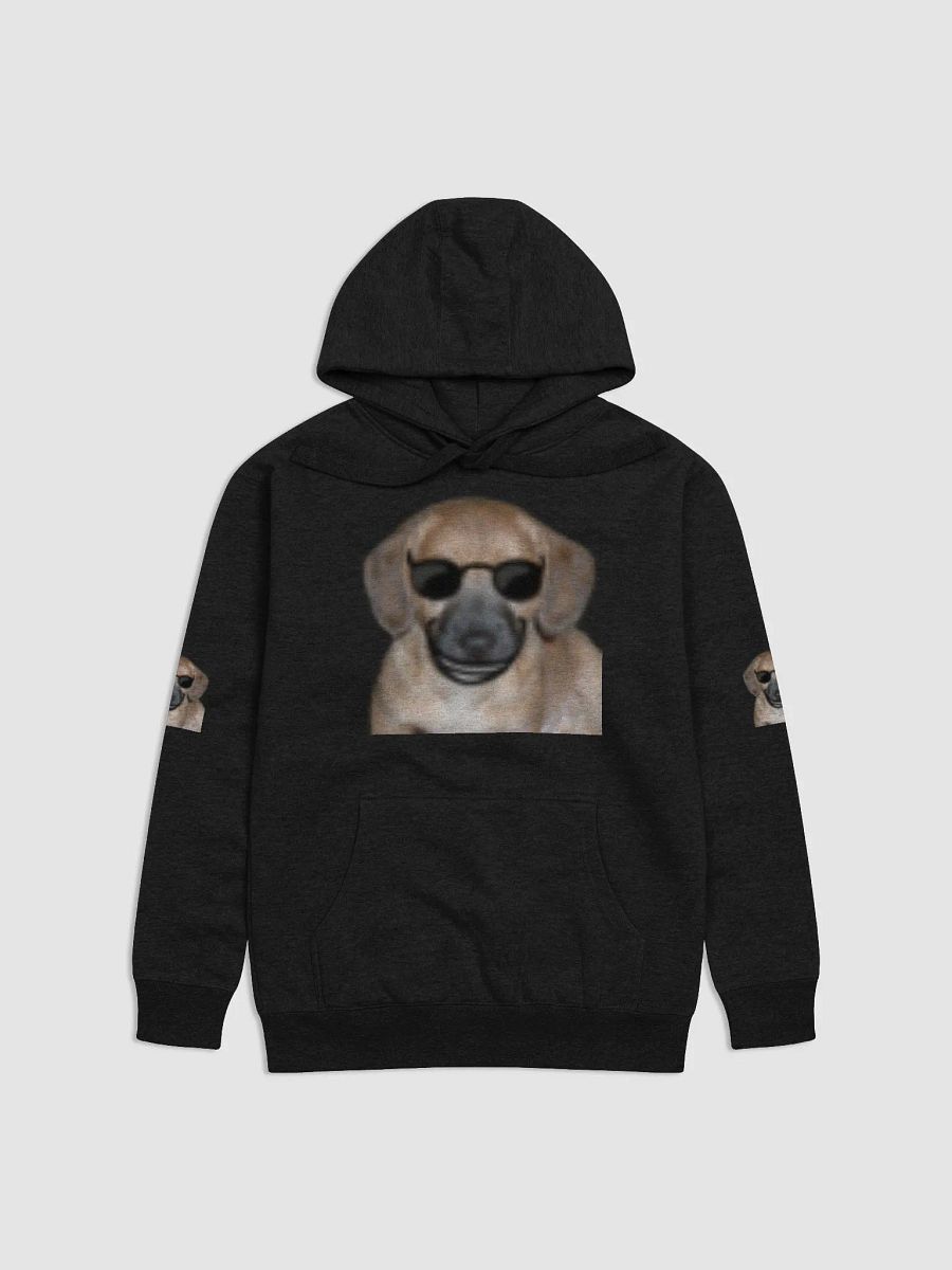 Rocky Swag Hoodie product image (4)