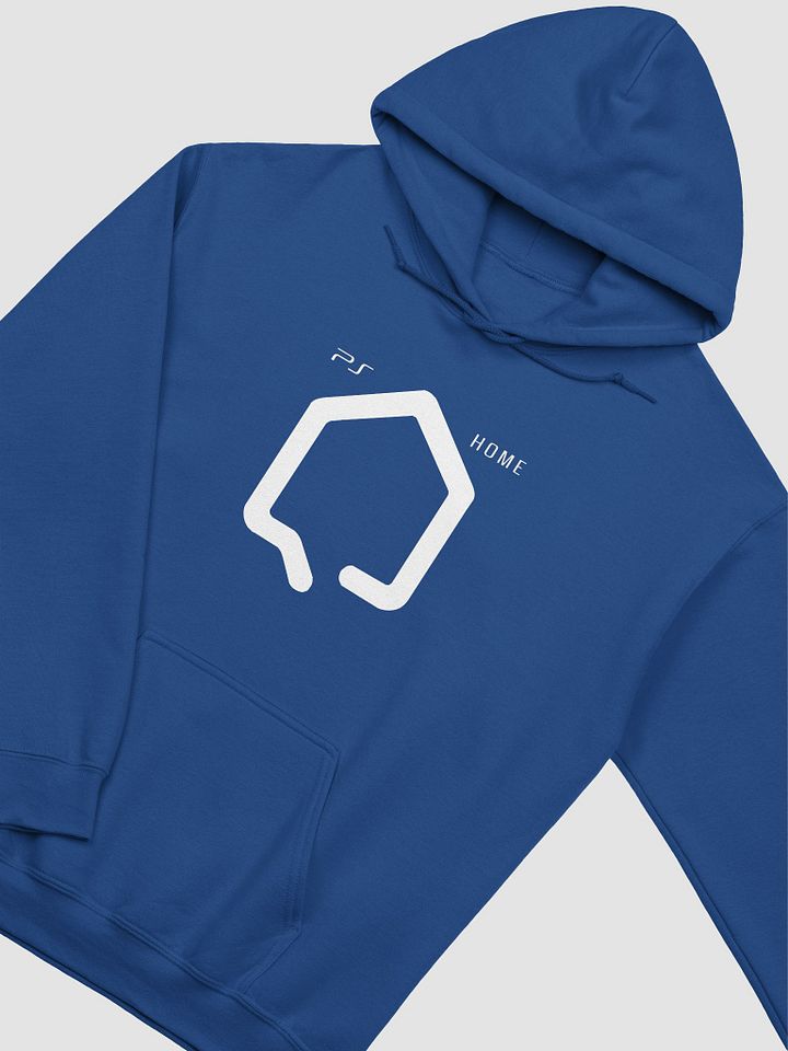 PLAYSTATION HOME - DARK ECO - HOODIE product image (2)