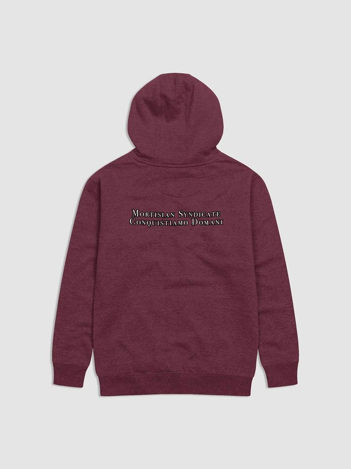Ferrum Family Hoodie product image (11)