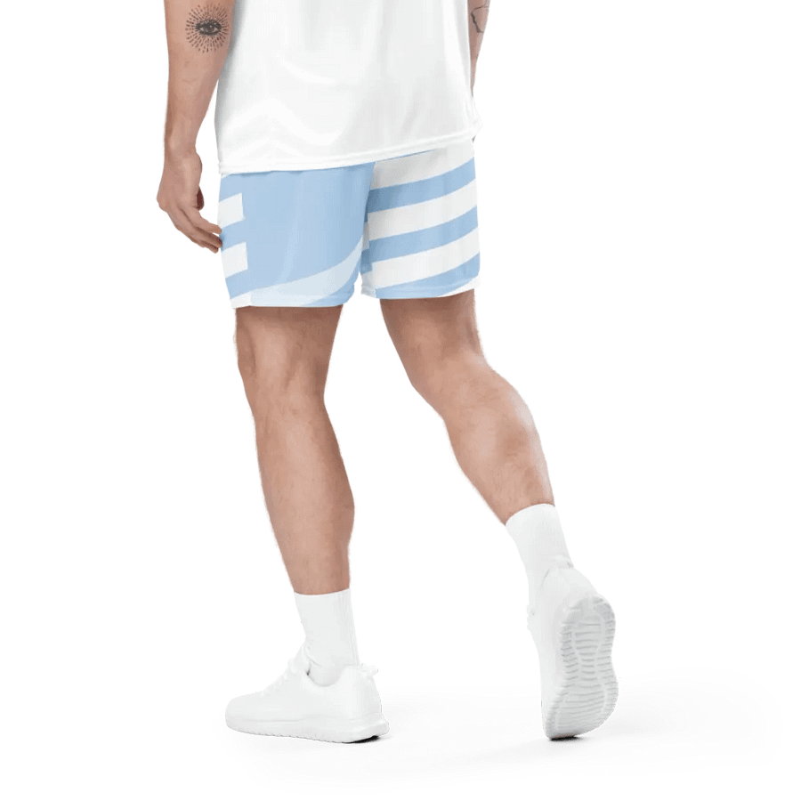 Striped Skyline Recycled Mesh Shorts product image (4)