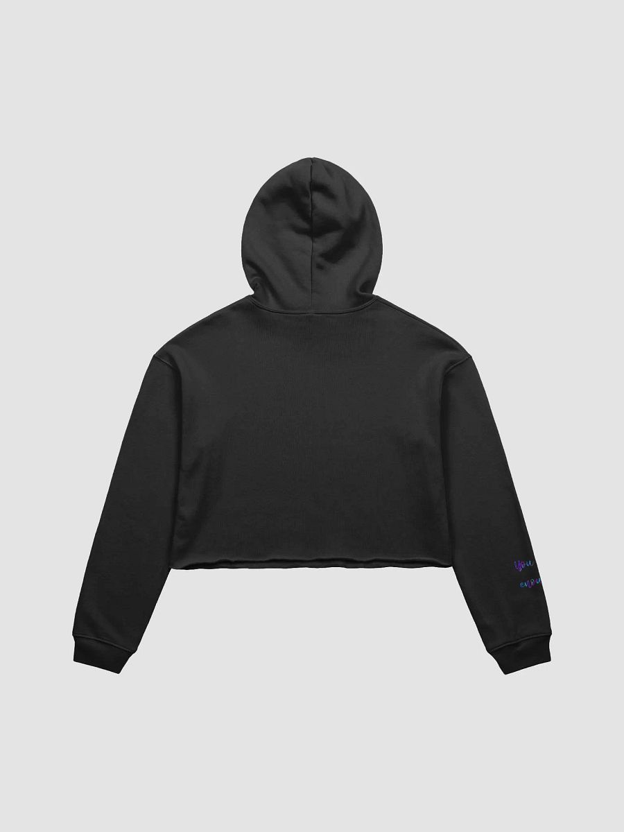 VI-Lette Lovers Cropped Twiz Hoodie product image (2)