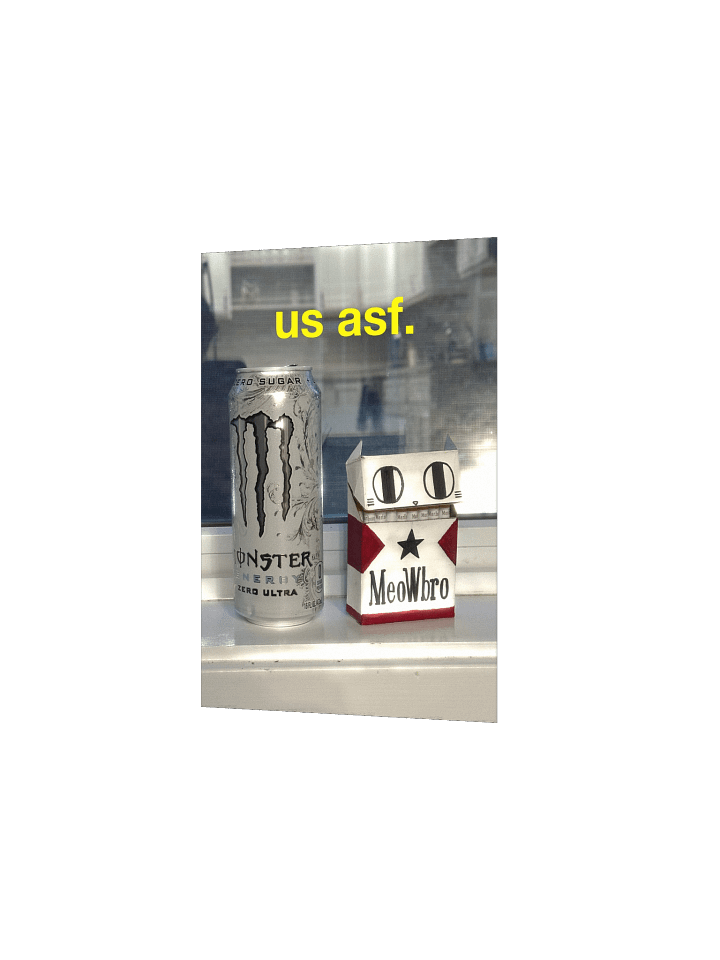 US ASF PRINT product image (13)