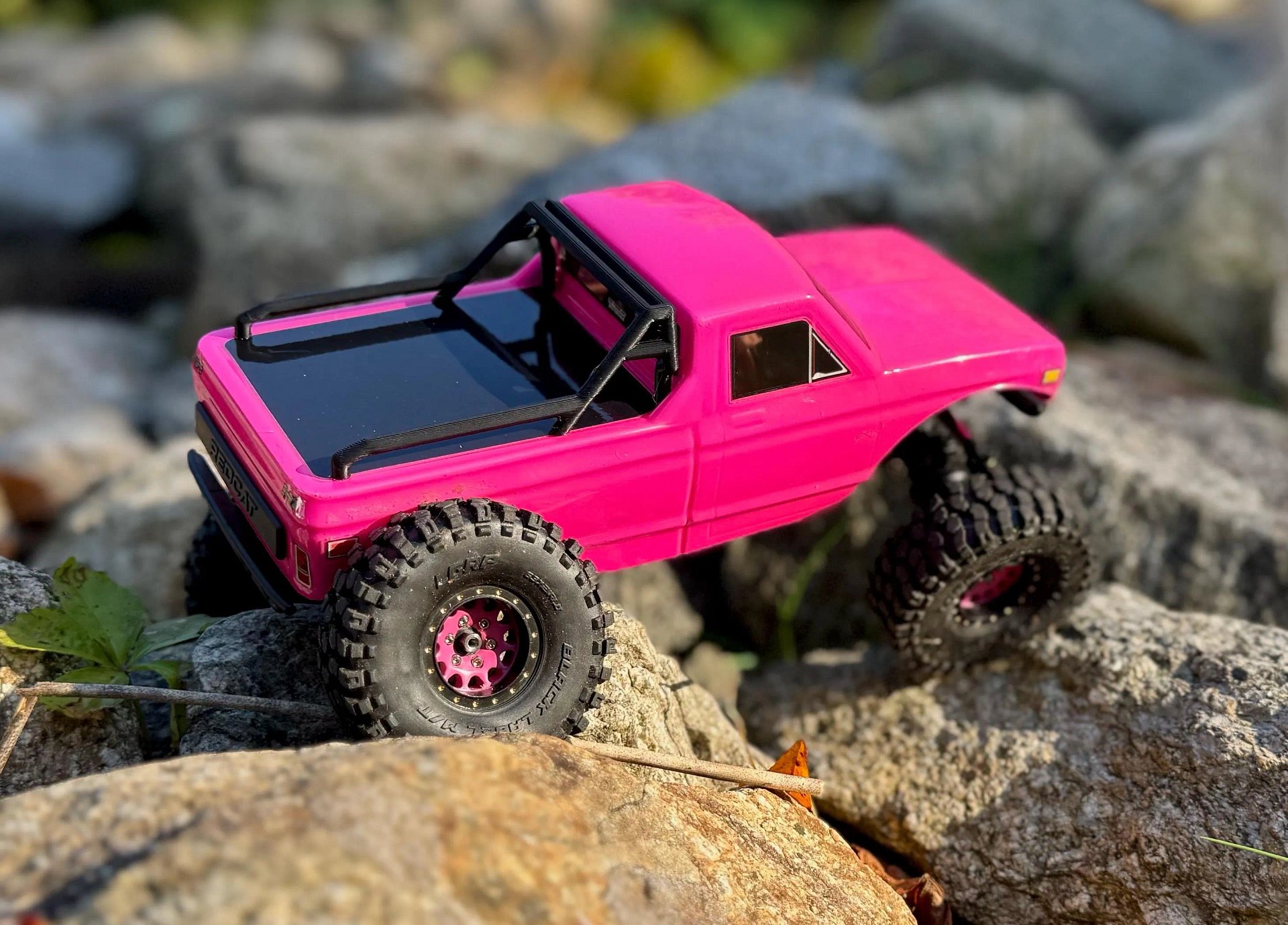 Ascent 18 Roll Cage product image (3)