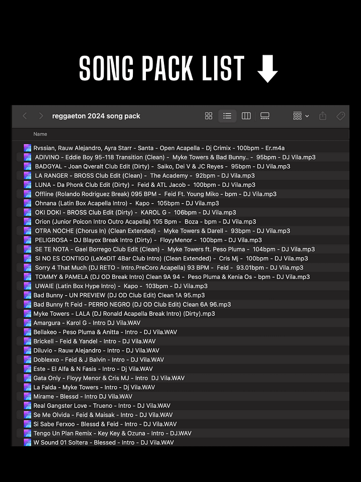 Reggaeton 2024 Mix - Song Pack/Paquete de Canciones (33 Songs/Canciones) product image (2)