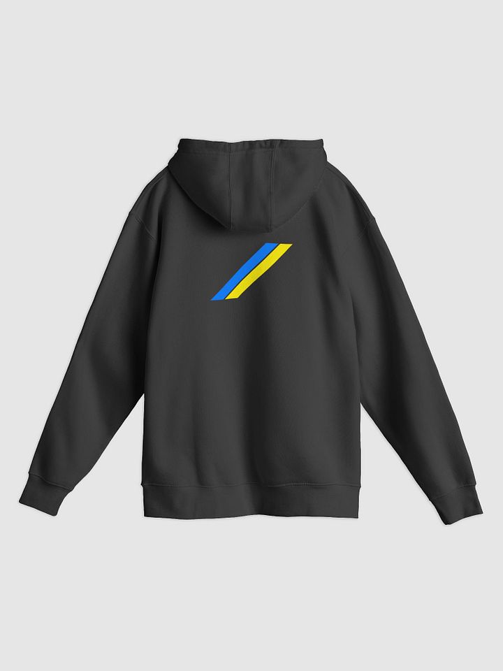 SHP Hoodie product image (2)
