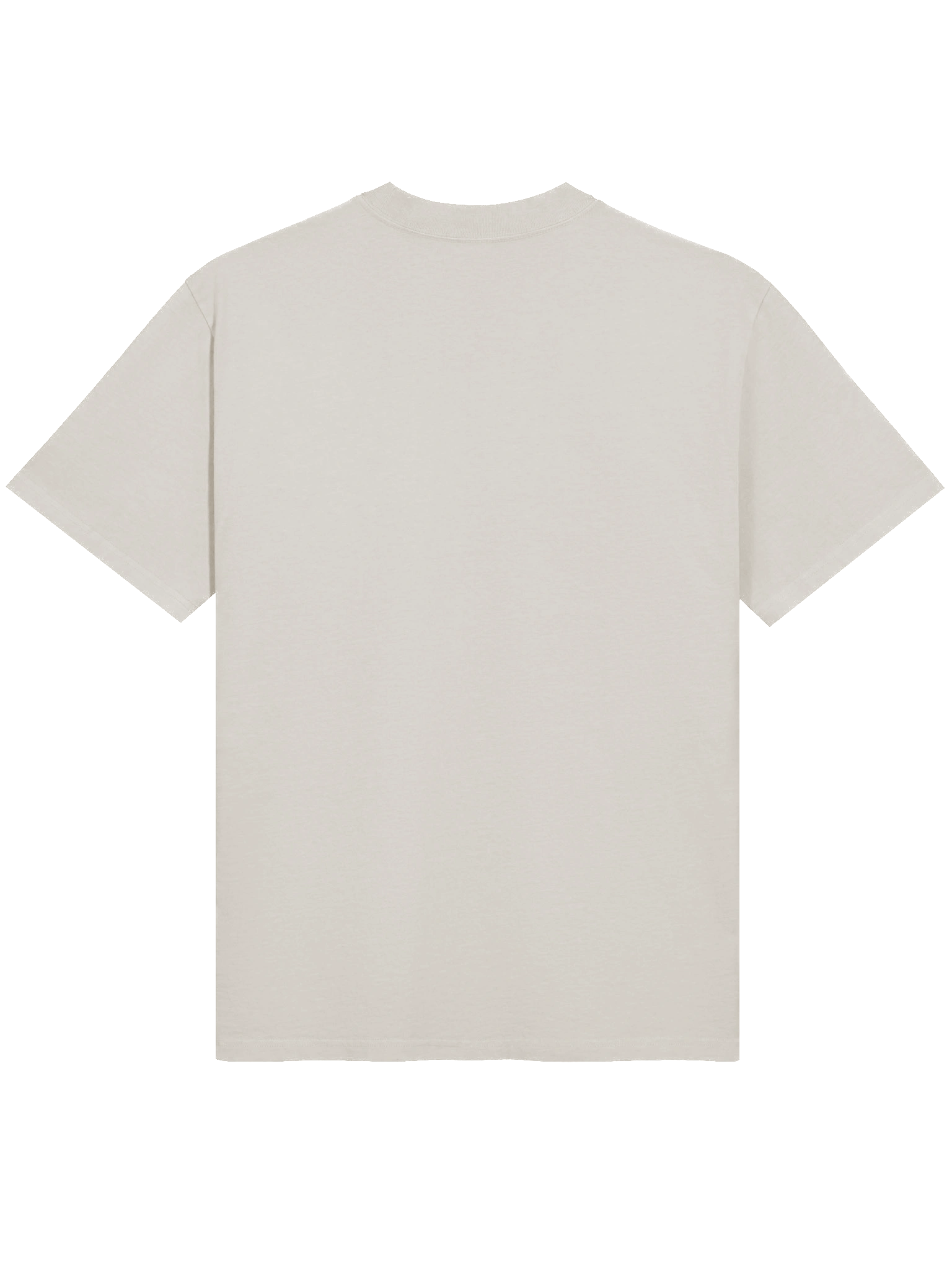 Whimsical Fly Cartoon Oversized T-Shirt product image (13)