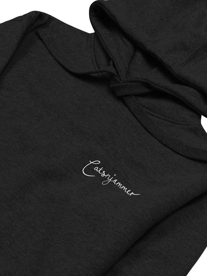 Catsnjammer Embroidered Script Logo Hoodie product image (2)