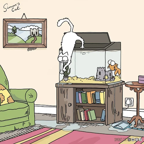 Friend or Food?! 🐠 😺