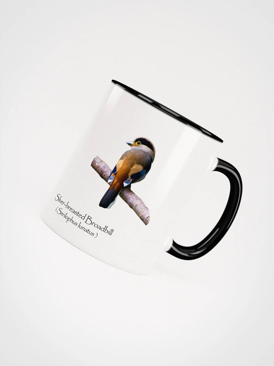Silver-breasted Broadbill product image (36)