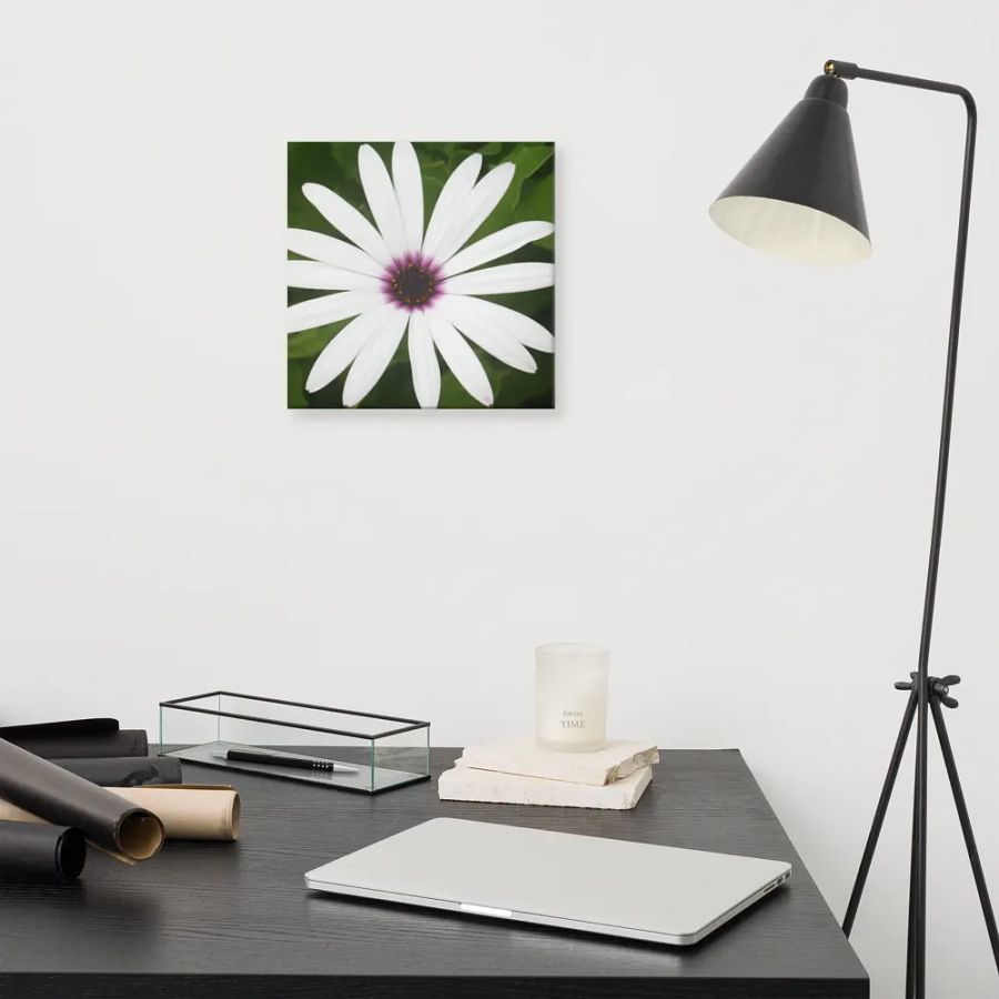 Daisy on Canvas product image (11)