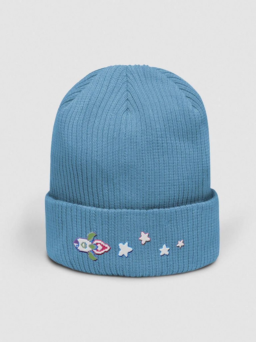 NEW SAVE Beanie product image (5)