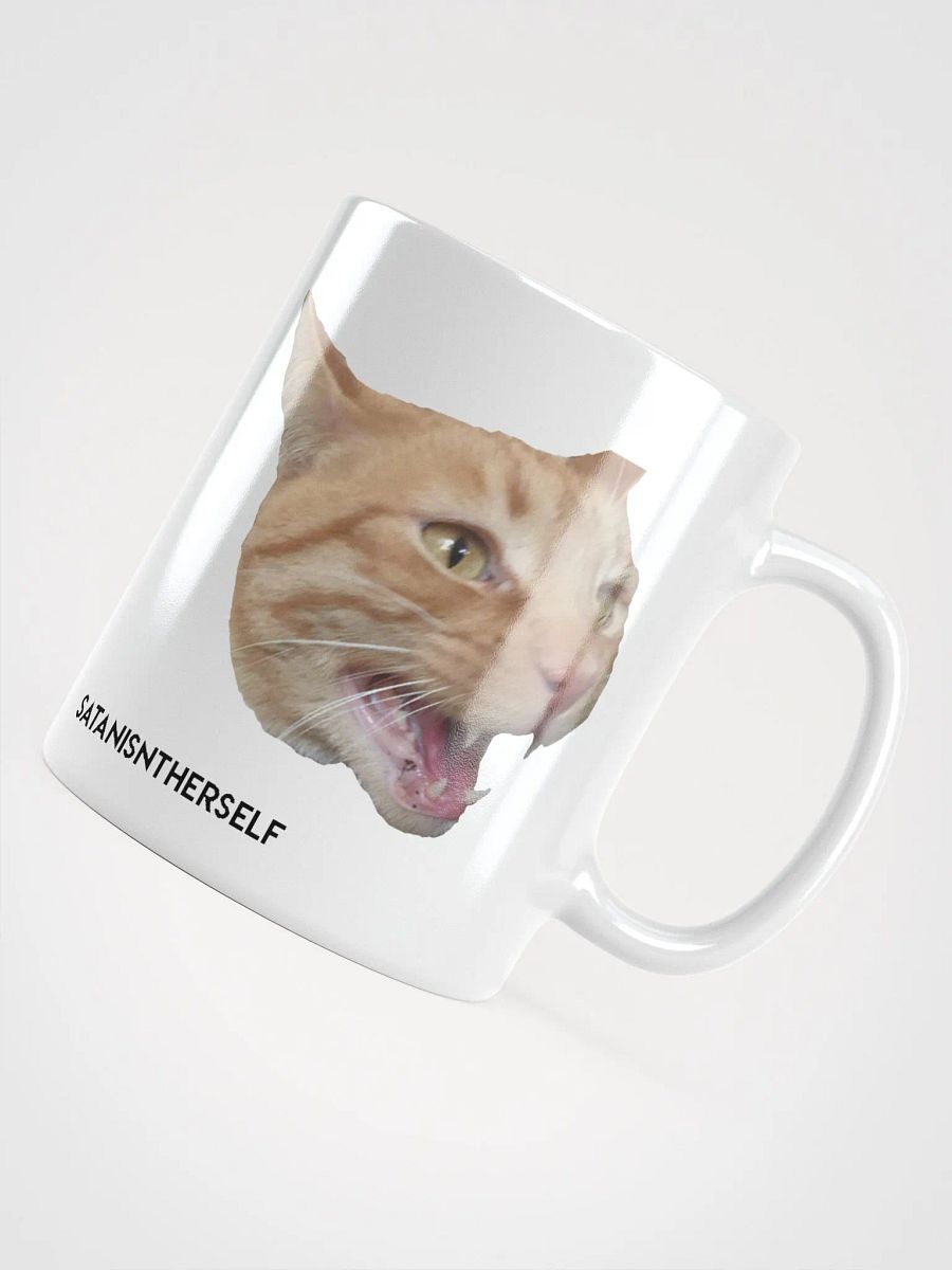 The Duality of Cat product image (4)