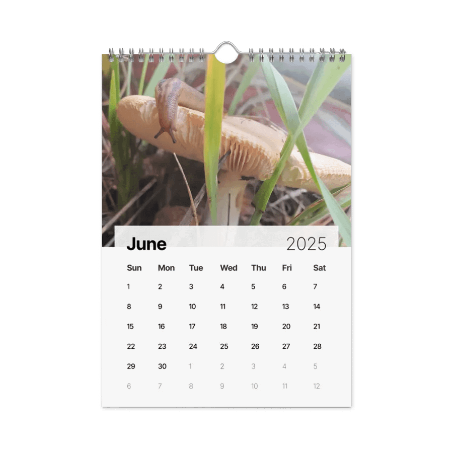 2025 Calendar product image (8)