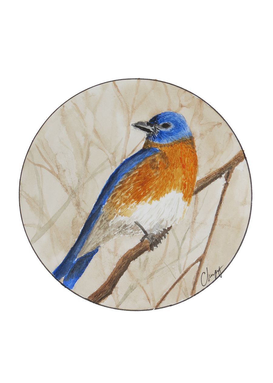 Eastern Bluebird - Original Watercolor Painting product image (2)