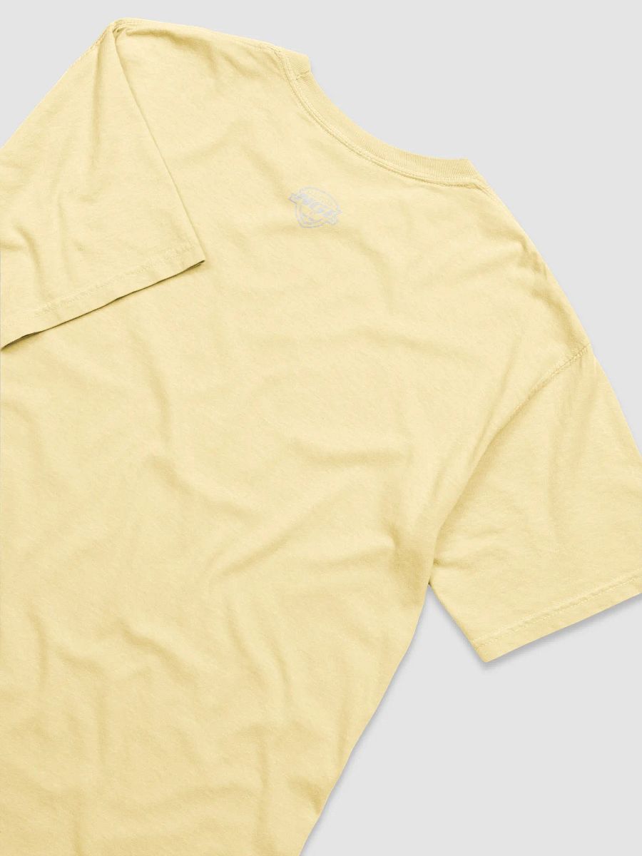 Tampa Bay Storm T-Shirt by Comfort Colors product image (4)
