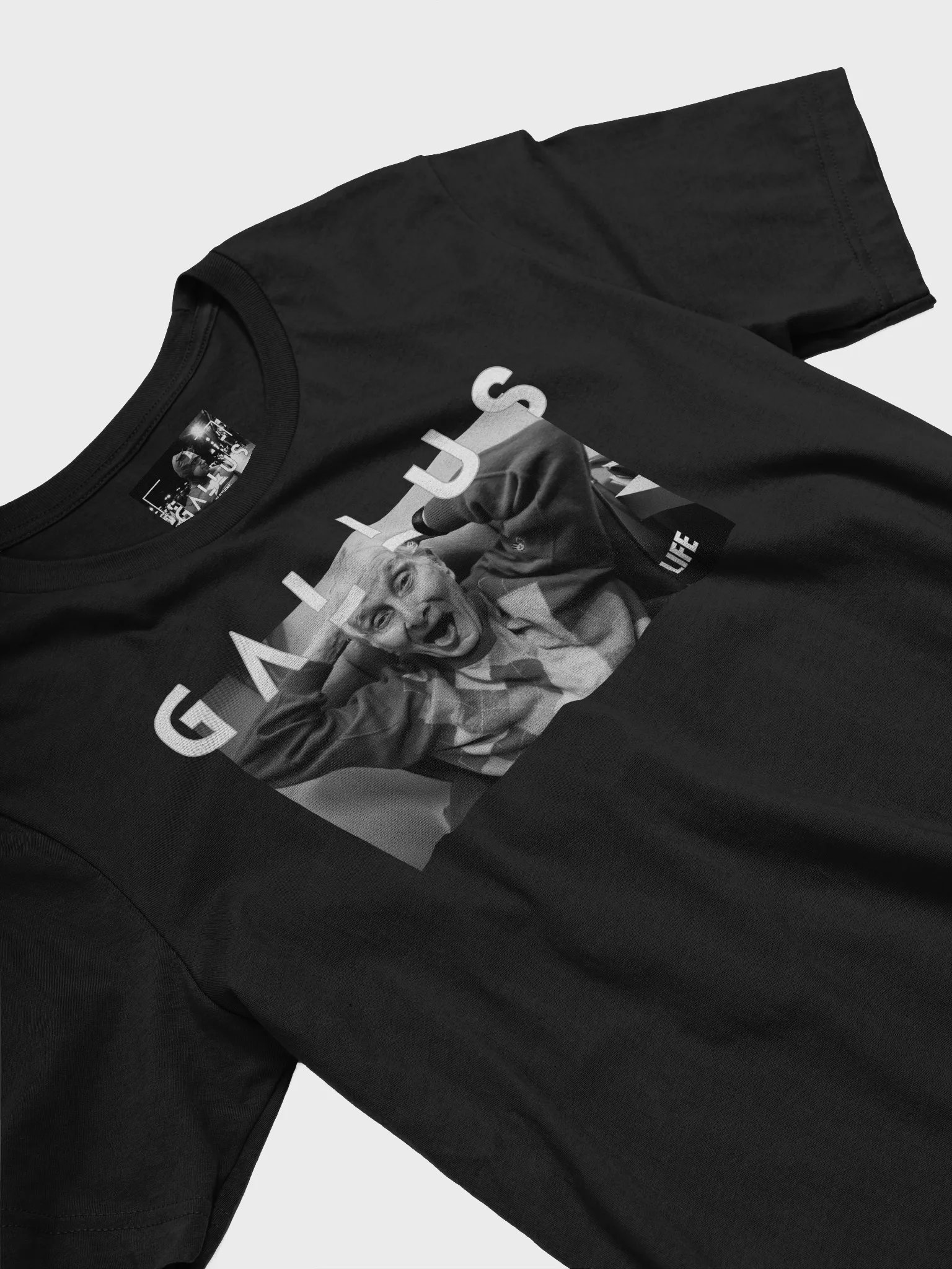 Gallus 2025 Life Collection - Ronnie Biggs product image (4)