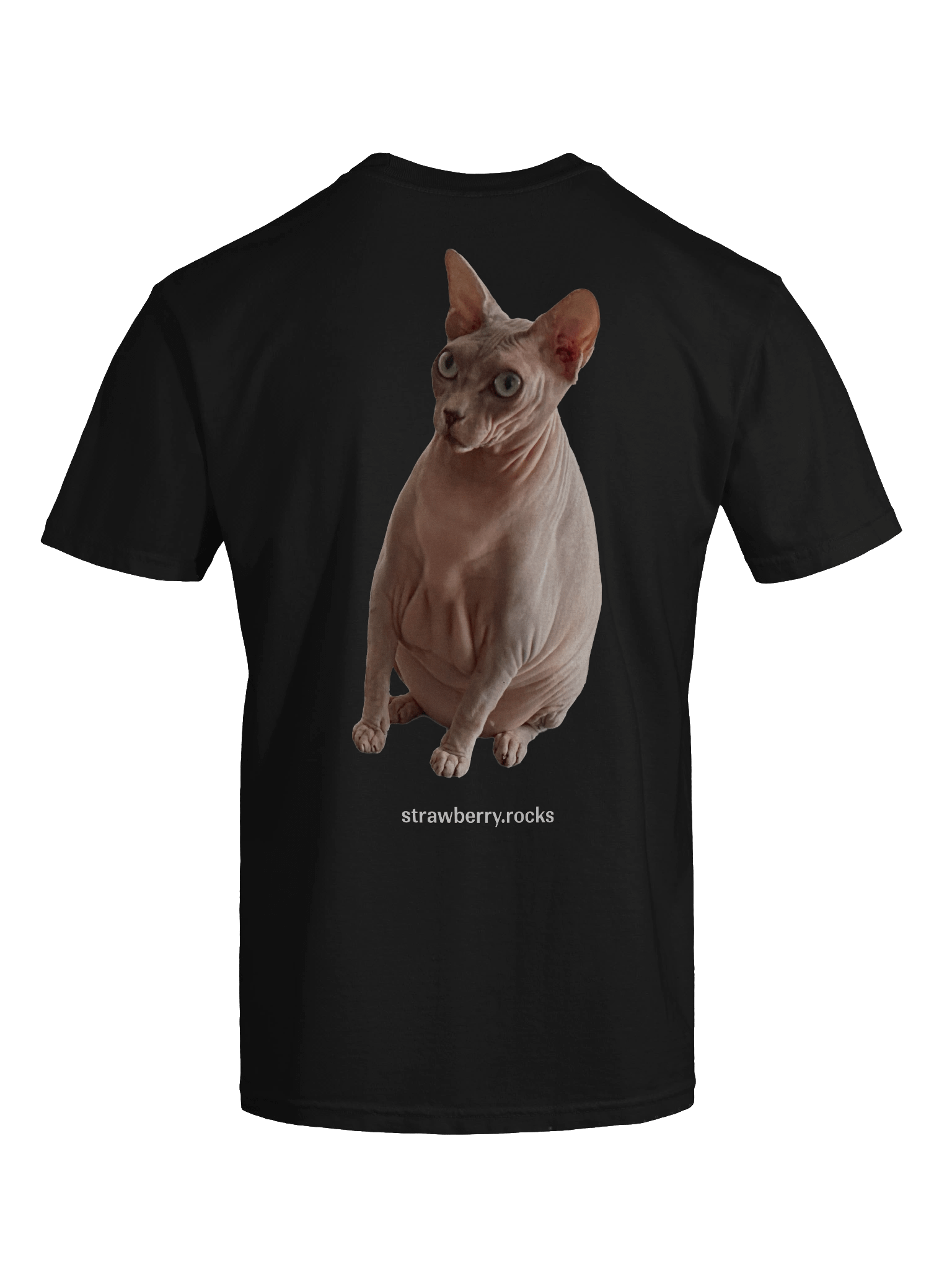 Thiago's cat judging your code product image (9)