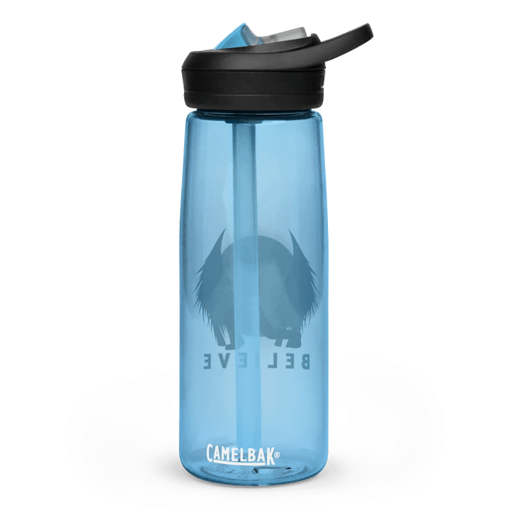 BELIEVE Water Bottle product image (11)