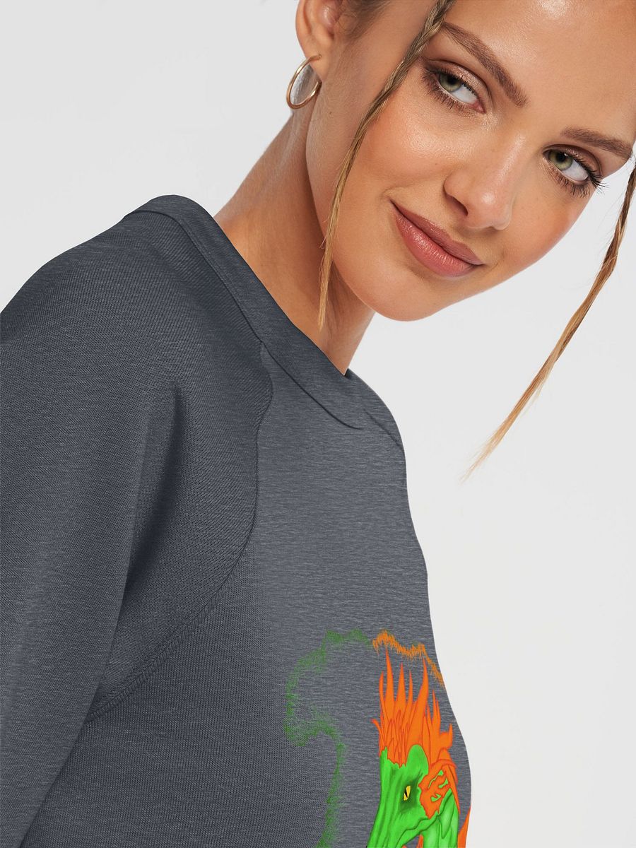 Fiery Dragon Raglan Sweatshirt product image (7)