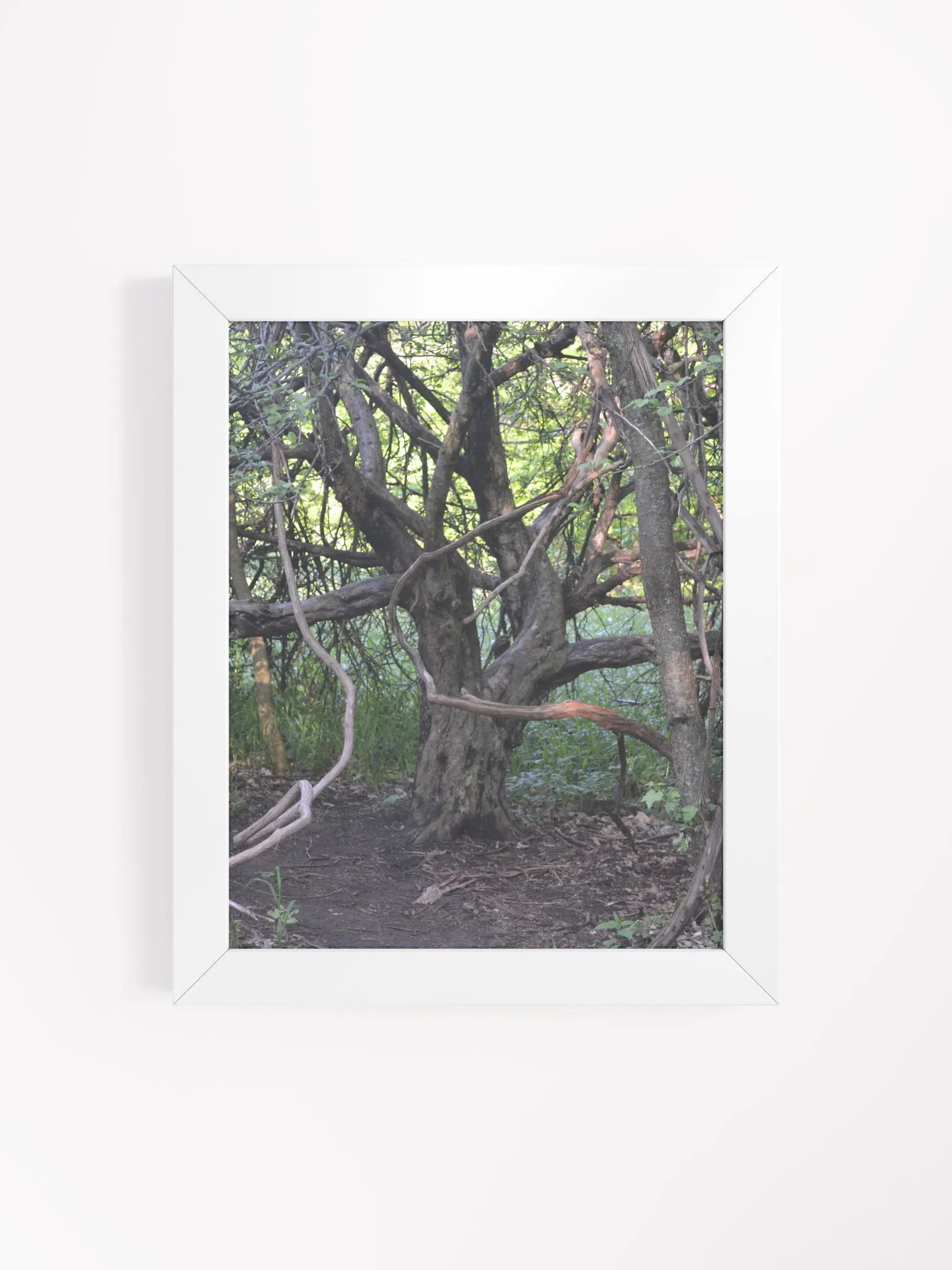 Tree of Branches High Quality Poster product image (19)