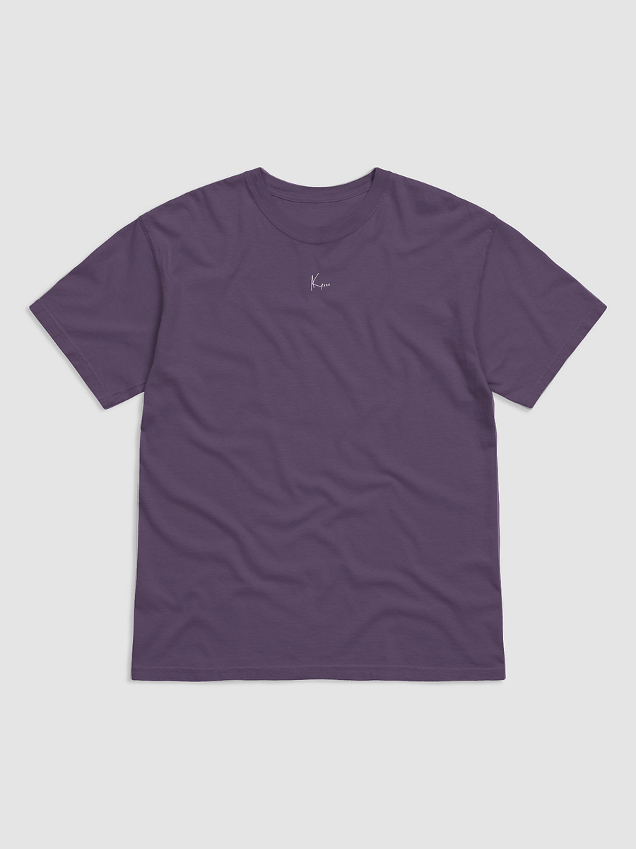 need money for zx10r | tee product image (2)