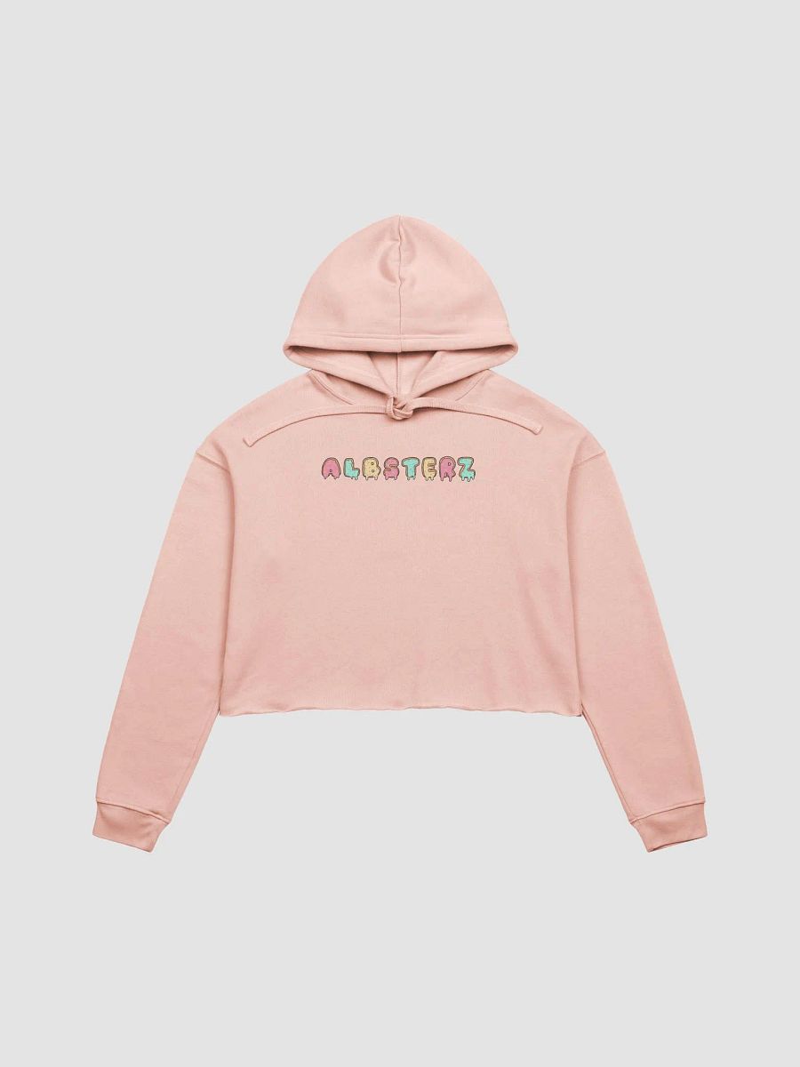 Albsterz Crop Hoodie product image (1)