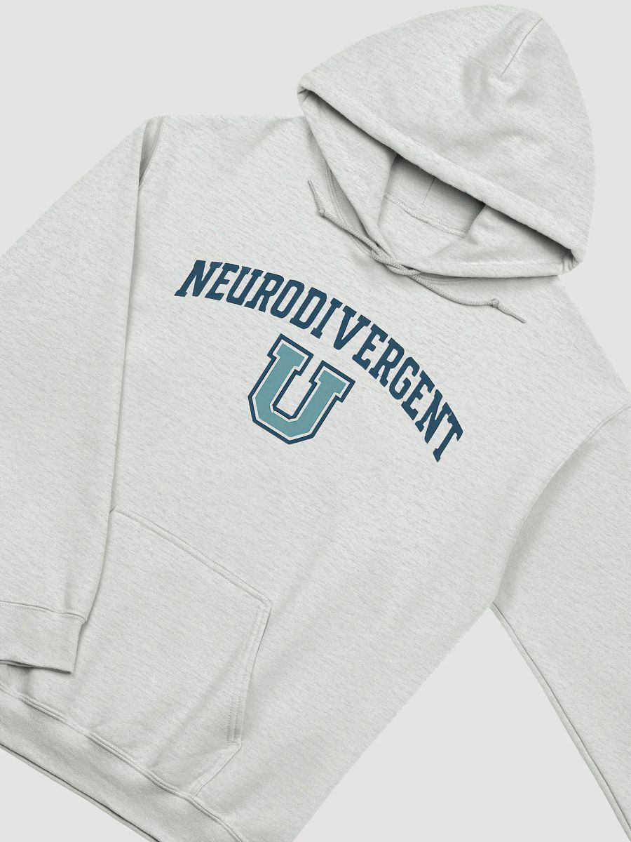 Neurodivergent U Unisex Hoodie product image (3)