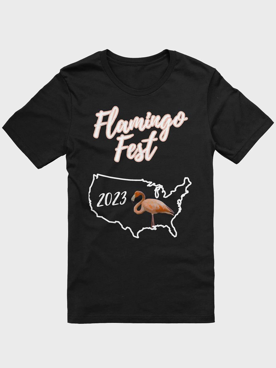 Flamingo Fest T-shirt product image (1)