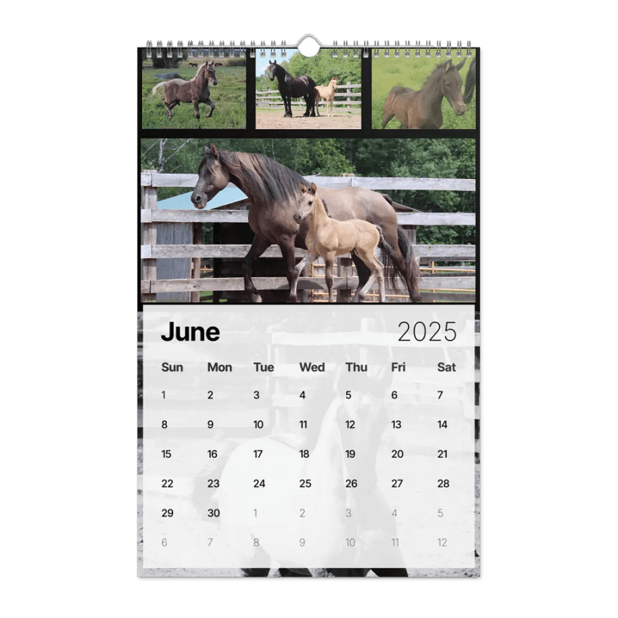 2025 Moriesian Horse Registry Calendar product image (21)