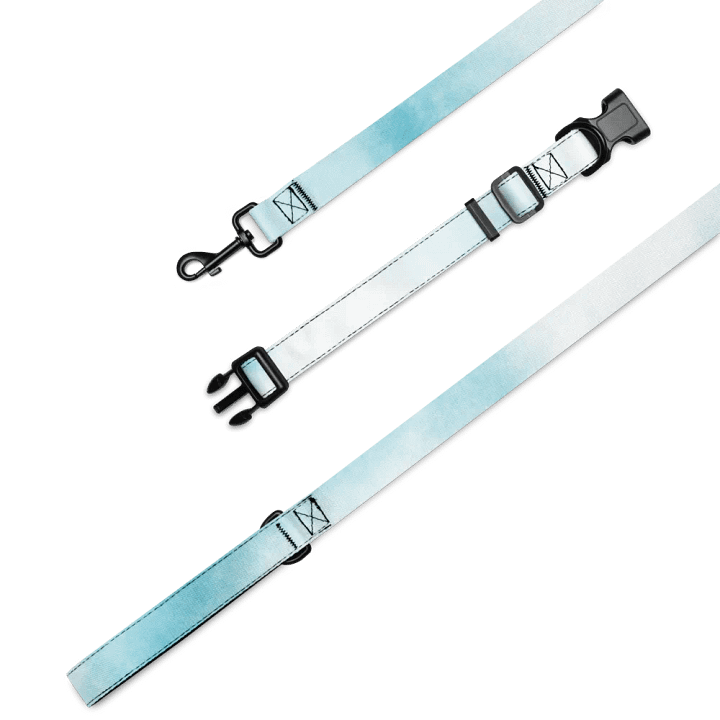 Skyblue Dog Leash & Collar product image (1)