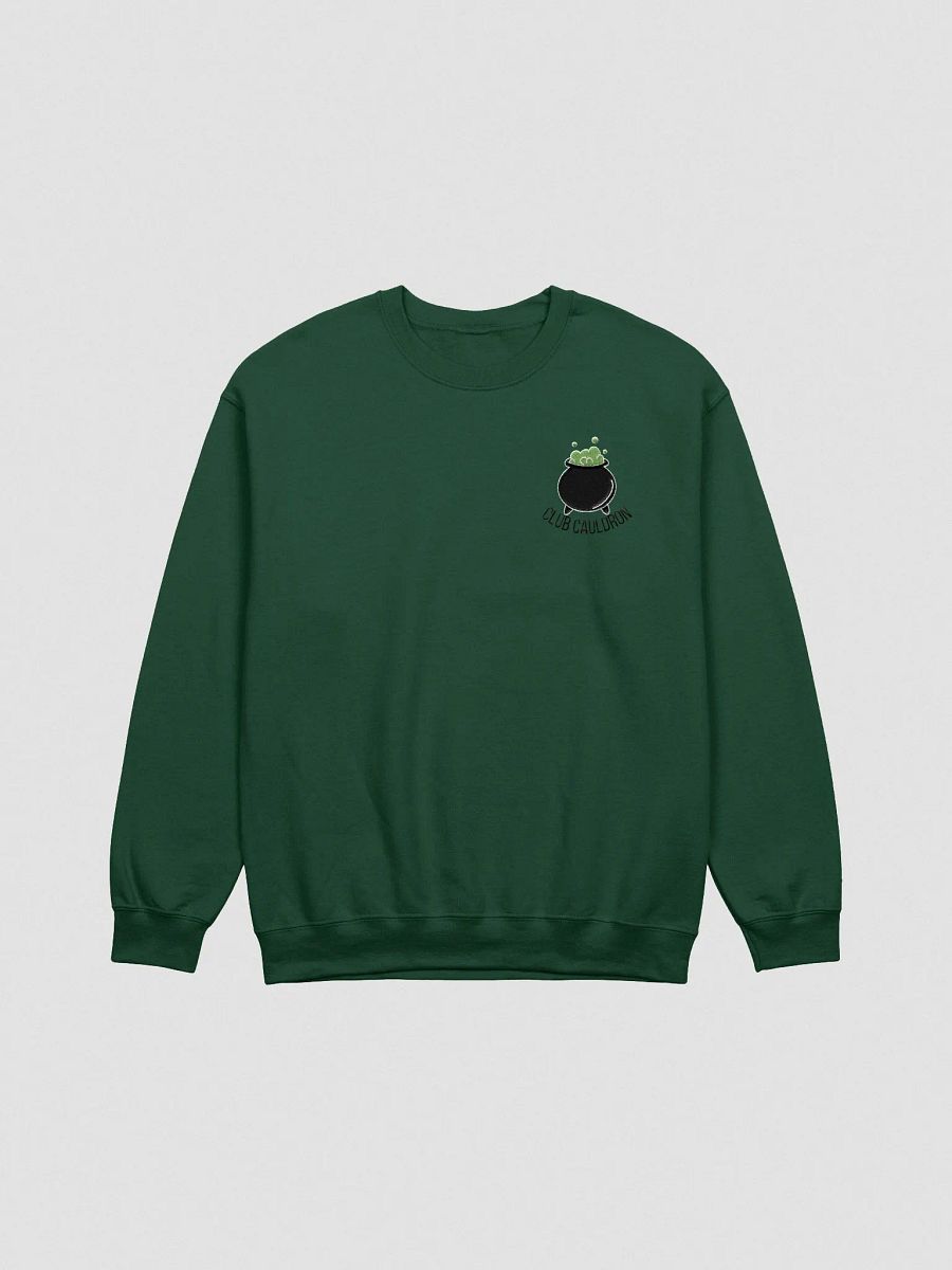 Club Cauldron Crew *EMBROIDERED* product image (1)